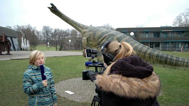 Die Welt der Dinosaurier