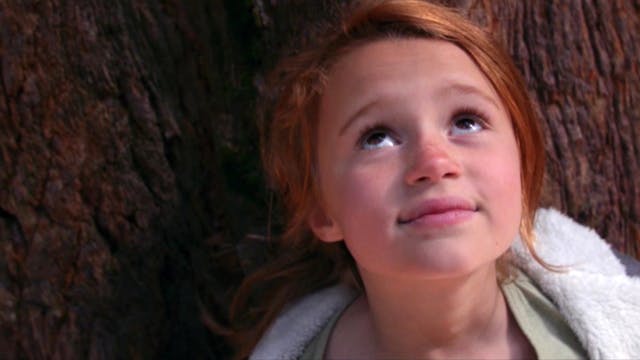 Junikäfer flieg