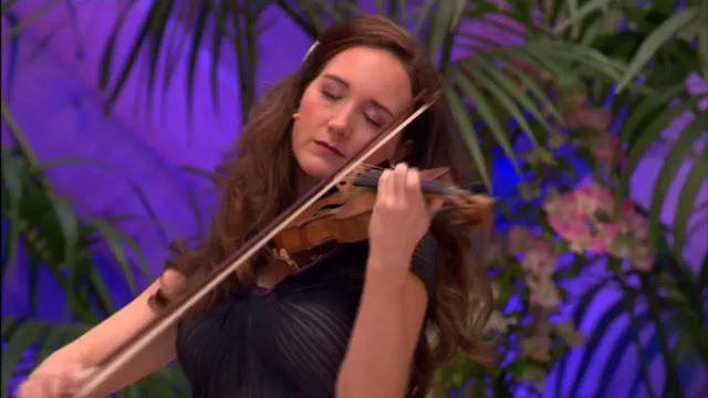 Folge 24