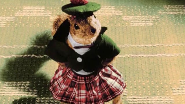 Der Weihnachtswunsch