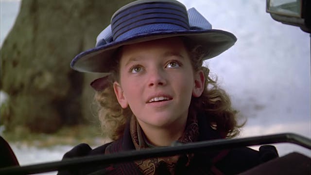 Die vornehme Gesellschaft