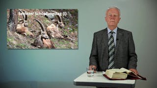 Bibelkunde: Die 7 Schöpfungstage (6/7)