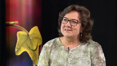 mit Doris Schulte