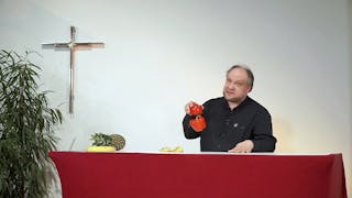 Auf den Geschmack gekommen ...