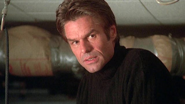 Das Schaf im Wolfspelz