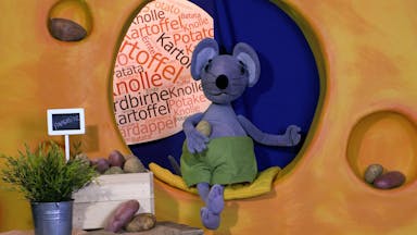 So 'ne tolle Knolle - Die Kartoffel