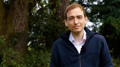 Wenn die Bäume jubeln