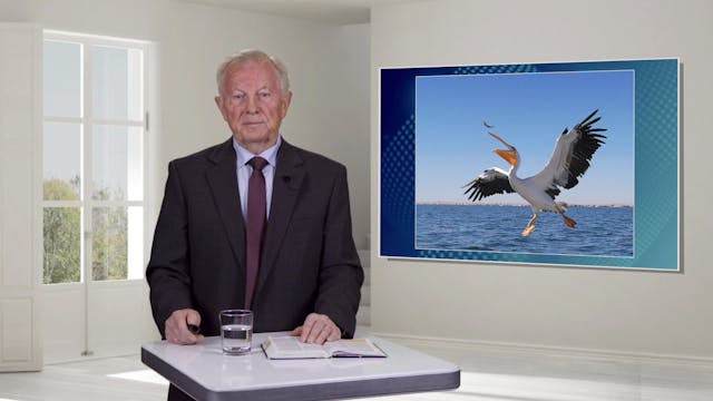 Glaubenskunde: Information - Die Grundlage der Schöpfung