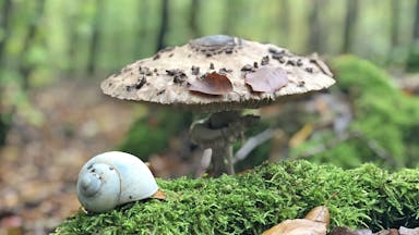 Wie man den Akku in der Natur wieder aufladen kann