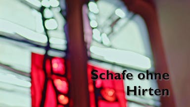 Schafe ohne Hirten