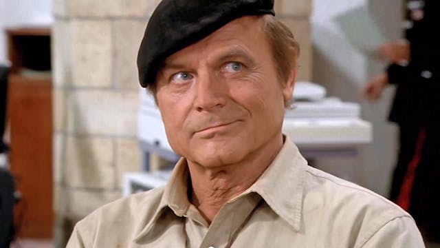 Der verschwundene Hund