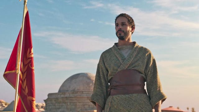 Die perfekte Gelegenheit