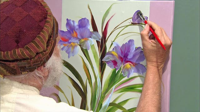 Holländische Schwertlilie