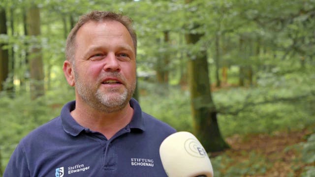 Wilder Wald statt Klassenzimmer