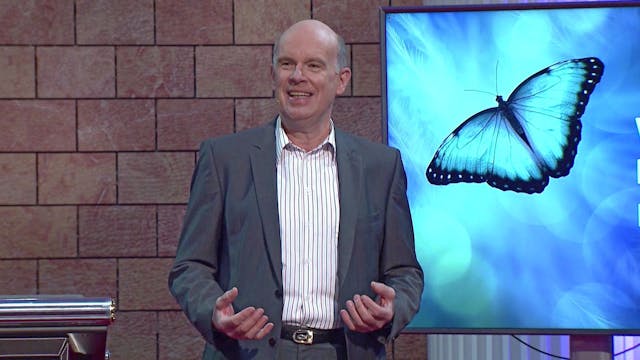 Was Heilung fördert