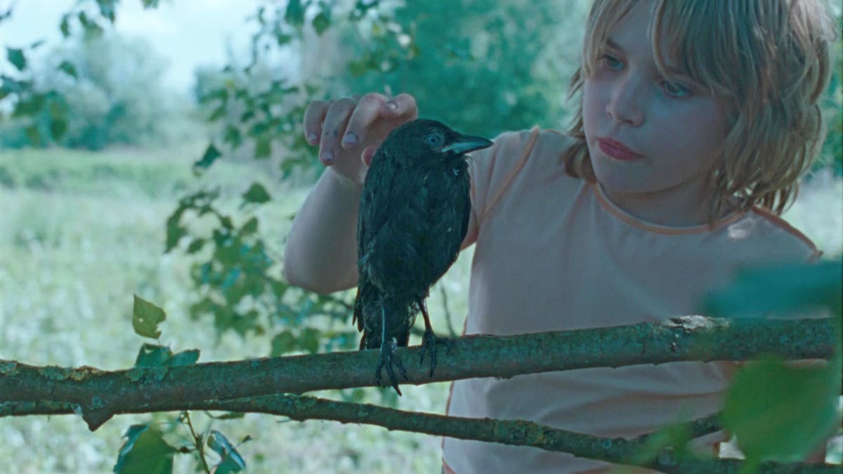 KAUWBOY - Kleiner Vogel, großes Glück