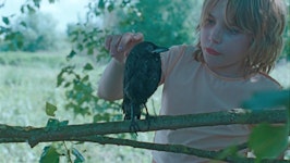 KAUWBOY - Kleiner Vogel, großes Glück