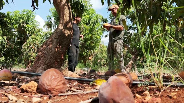 Sendung vom 20.11.25